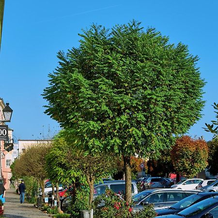 Ferienwohnung Tittmoning Zwischen Salzburg, Burghausen Und Oesterreich Kültér fotó